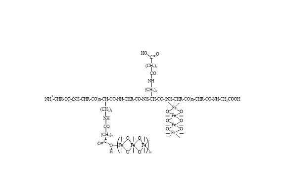 蛋白琥珀酸鐵,iron protein succinylate