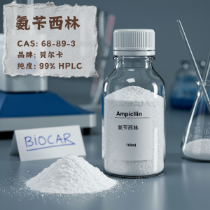 氨芐西林,Ampicillin