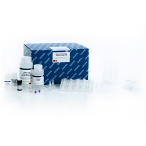 病毒RNA純化試劑盒（50次）,QIAamp Viral RNA Mini Kit (50)