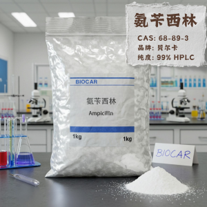 氨芐西林,Ampicillin