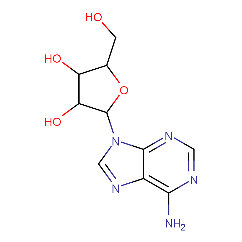 腺苷,Adenosine