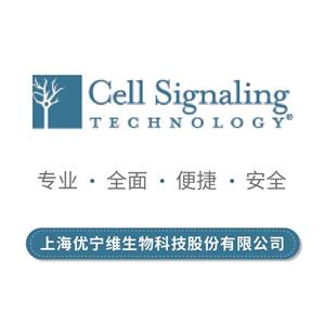 CST小鼠反應(yīng)性STING通路抗體套裝,Mouse-Reactive STING Pathway Antibody Sampler Kit