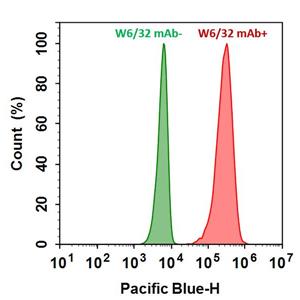 iFluor 405琥珀酰亞胺酯,iFluor? 405 succinimidyl ester