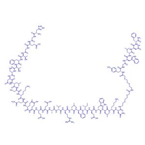 胰高血糖素樣肽-1 (GLP-1) 和胃泌素雙重激動(dòng)劑多肽ZP3022/ZP3022