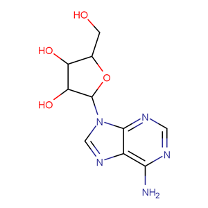 腺苷,Adenosine