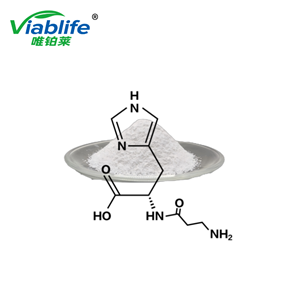 L-肌肽,L-Carnosine