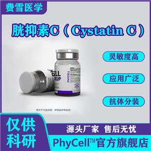 500μg  胱抑素C；胱抑素C抗原；Cystatin C；Cys C蛋白