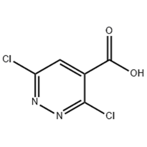 3,6-二氯哒嗪-4-羧酸