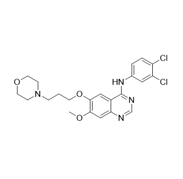 吉非替尼雜質(zhì)6,N-(3,4-dichlorophenyl)-7-methoxy-6-(3-morpholinopropoxy)quinazolin-4-amine