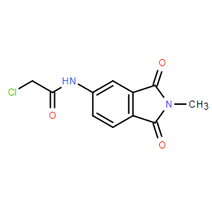 2-氯-N-(2-甲基-1,3-二氧代-2,3-二氫-1H-異吲哚-5-基)乙酰胺,2-Chloro-N-(2-methyl-1,3-dioxo-2,3-dihydro-1H-isoindol-5-yl)acetamide