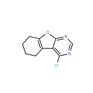 4-氯-5,6,7,8-四氢苯并呋喃[2,3-d]嘧啶