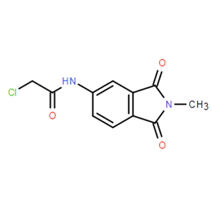 2-氯-N-(2-甲基-1,3-二氧代-2,3-二氢-1H-异吲哚-5-基)乙酰胺