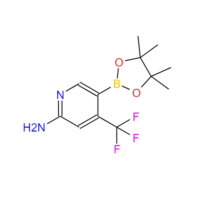 2-氨基-4-(三氟甲基)吡啶-5-硼酸頻哪醇酯,2-Amino-4-(trifluoromethyl)pyridine-5-boronic acid pinacol ester