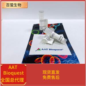 iFluor 555琥珀酰亞胺酯 100ug,iFluor? 555 succinimidyl ester