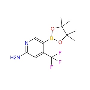 2-氨基-4-(三氟甲基)吡啶-5-硼酸頻哪醇酯,2-Amino-4-(trifluoromethyl)pyridine-5-boronic acid pinacol ester