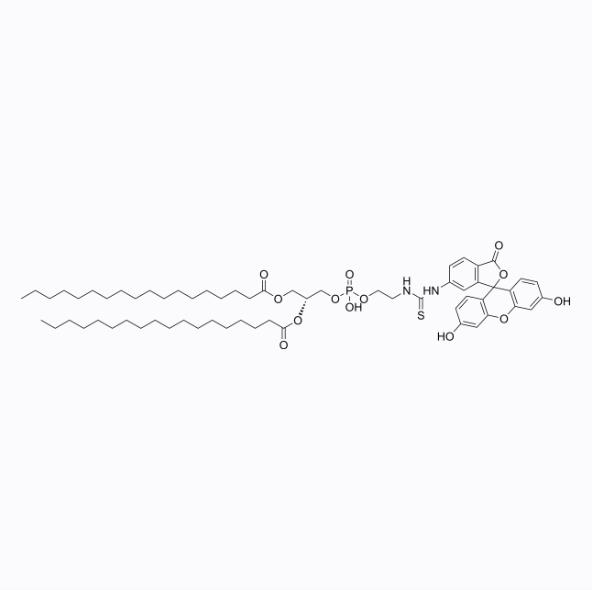 磷脂-熒光素，二硬脂?；字Ｒ掖及?-熒光素,DSPE-Fluorescein,FITC-DSPE,Phospholipids-Fluorescein,Phospholipids-FITC