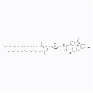 磷脂-熒光素，2933358-06-4，DSPE-Fluorescein