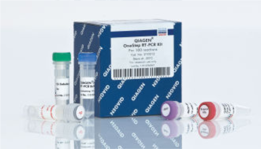 凯杰一步法RT-PCR试剂盒,QIAGEN OneStep RT-PCR Kit (100)