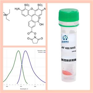 AF488標(biāo)記人血白蛋白,Human Serum Albumin-AF488;Alexa Fluor 488-HSA