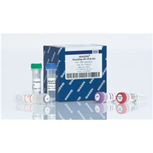 凯杰一步法RT-PCR试剂盒,QIAGEN OneStep RT-PCR Kit (100)