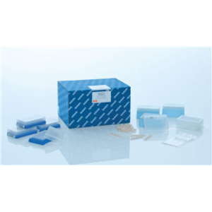 MinElute PCR產(chǎn)物純化試劑盒（250次）,MinElute PCR Purification Kit (250)