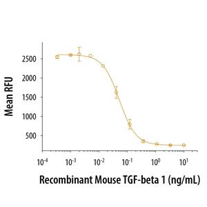 重组小鼠转化生长因子β1蛋白