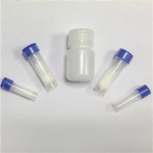 替爾泊肽；新型雙重GIP\GLP-1,Tirzepatide