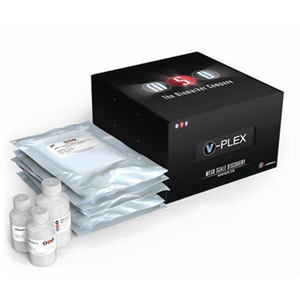  V-PLEX定制小鼠生物标志物检测试剂盒（5板装）