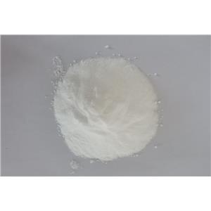 鹽酸利多卡因,Lidocaine hydrochloride