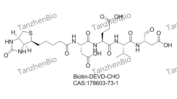 Biotin-DEVD-CHO,Biotin-DEVD-CHO