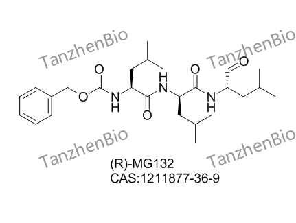 (R)-MG132,(R)-MG132