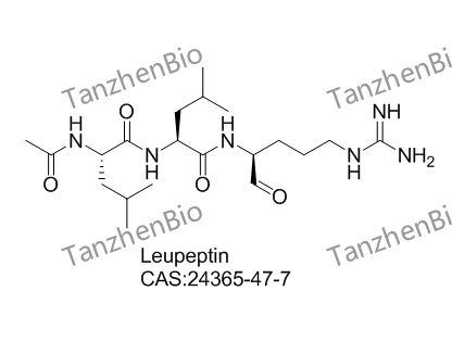 亮肽素,亮抑酶肽,leupeptin