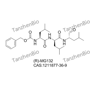 (R)-MG132,(R)-MG132