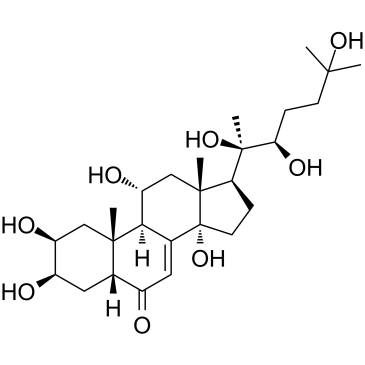 土克甾酮,Turkesterone