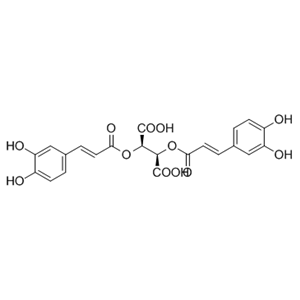 菊苣酸,Chicoric acid