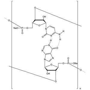 雙鏈聚肌胞,Polyinosinic-polycytidylic acid sodium salt