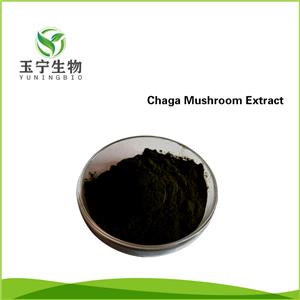 白樺茸黑金粉,Chaga Mushroom Extract