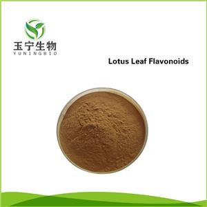 水溶性荷葉黃酮,Lotus Leaf Flavonoids