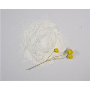 1-nitroheptane,1-nitroheptane