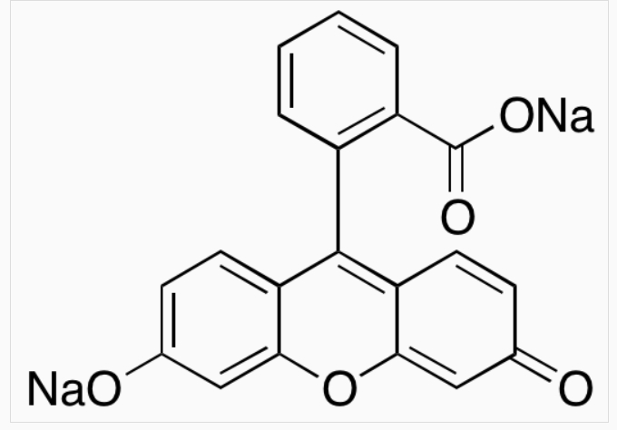 熒光素鈉,Fluorescein sodium salt