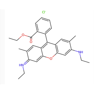 羅丹明6G 989-38-8 Rhodamine 6G