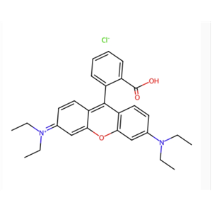 羅丹明B  81-88-9 Rhodamine B