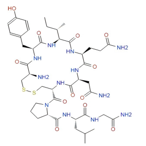 縮宮素,Oxytocin