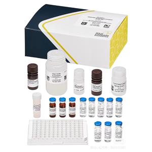 微囊藻素ADDA檢測(cè)試劑盒,Microcystins Tube ELISA Test Kit