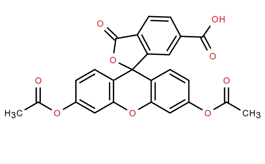 6-羧基熒光素二乙酸酯,6-CARBOXYFLUORESCEIN DIACETATE