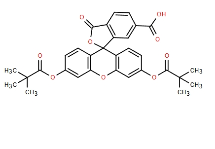 6-羧基熒光素 DIPIVALATE,6-CARBOXYFLUORESCEIN DIPIVALATE