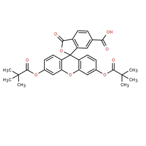 6-羧基熒光素 DIPIVALATE