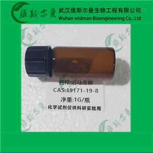 泊馬度胺,Pomalidomide