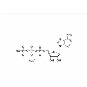 腺苷三磷酸鈉鹽溶液（100mM）ATP,100mM Sodium Salt Solution