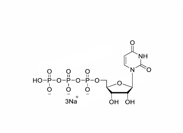 尿苷三磷酸三鈉鹽溶液（100 mM）,UTP,100mM Sodium Salt Solution